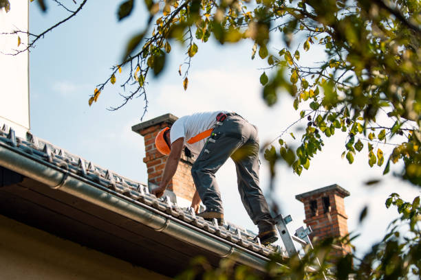 Best Roof Gutter Cleaning  in Colquitt, GA