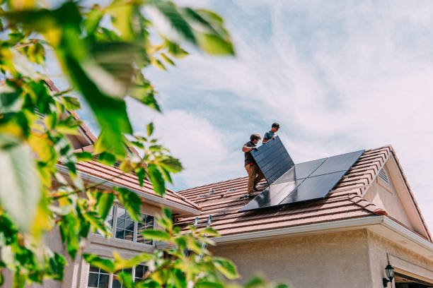 Best Roof Gutter Cleaning  in Colquitt, GA