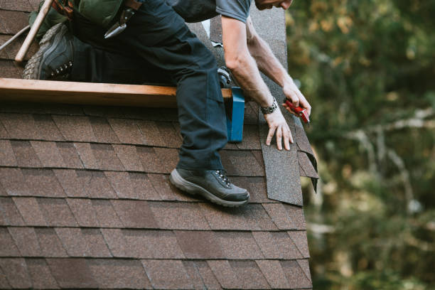 Best Roof Gutter Cleaning  in Colquitt, GA