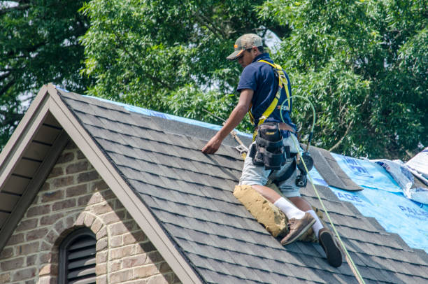 Best Best Roofing Contractors  in Colquitt, GA